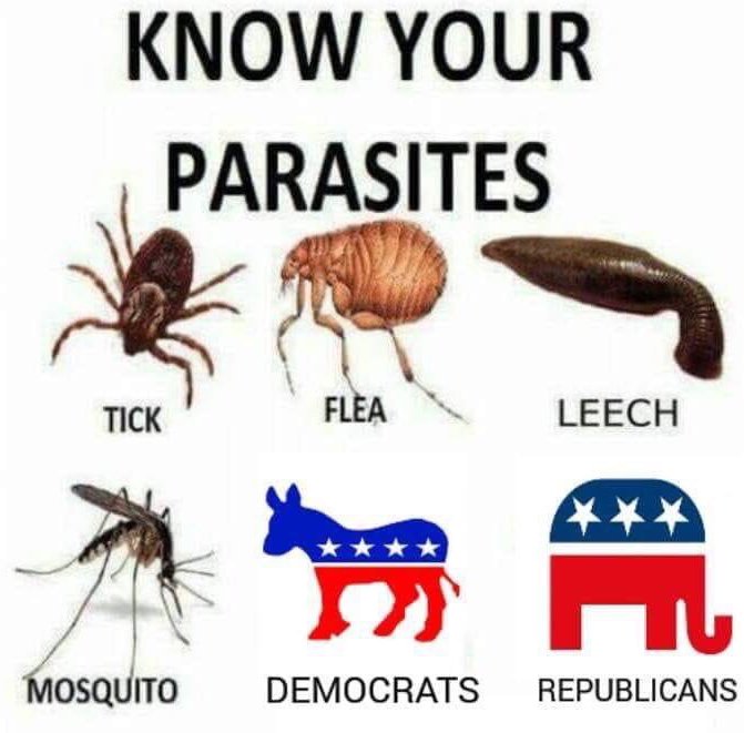 Young Americans for Liberty (@yaliberty) on Twitter photo 