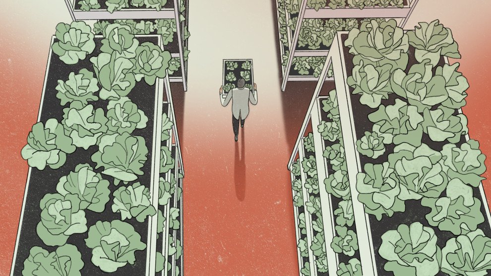 <a href="/tomphilpott/">Tom Philpott</a> raises ?s about NRG use in #indoorag. "Skyscrapers full of lettuce promise an eco-friendly alternative to outdoor farming. There's just one problem." motherjones.com/food/2018/07/v… <a href="/MotherJones/">Mother Jones</a>