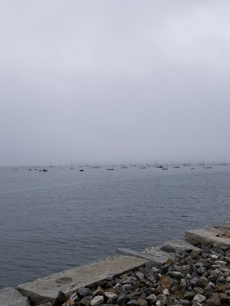 Hello July in Maine. #maine #vacationland