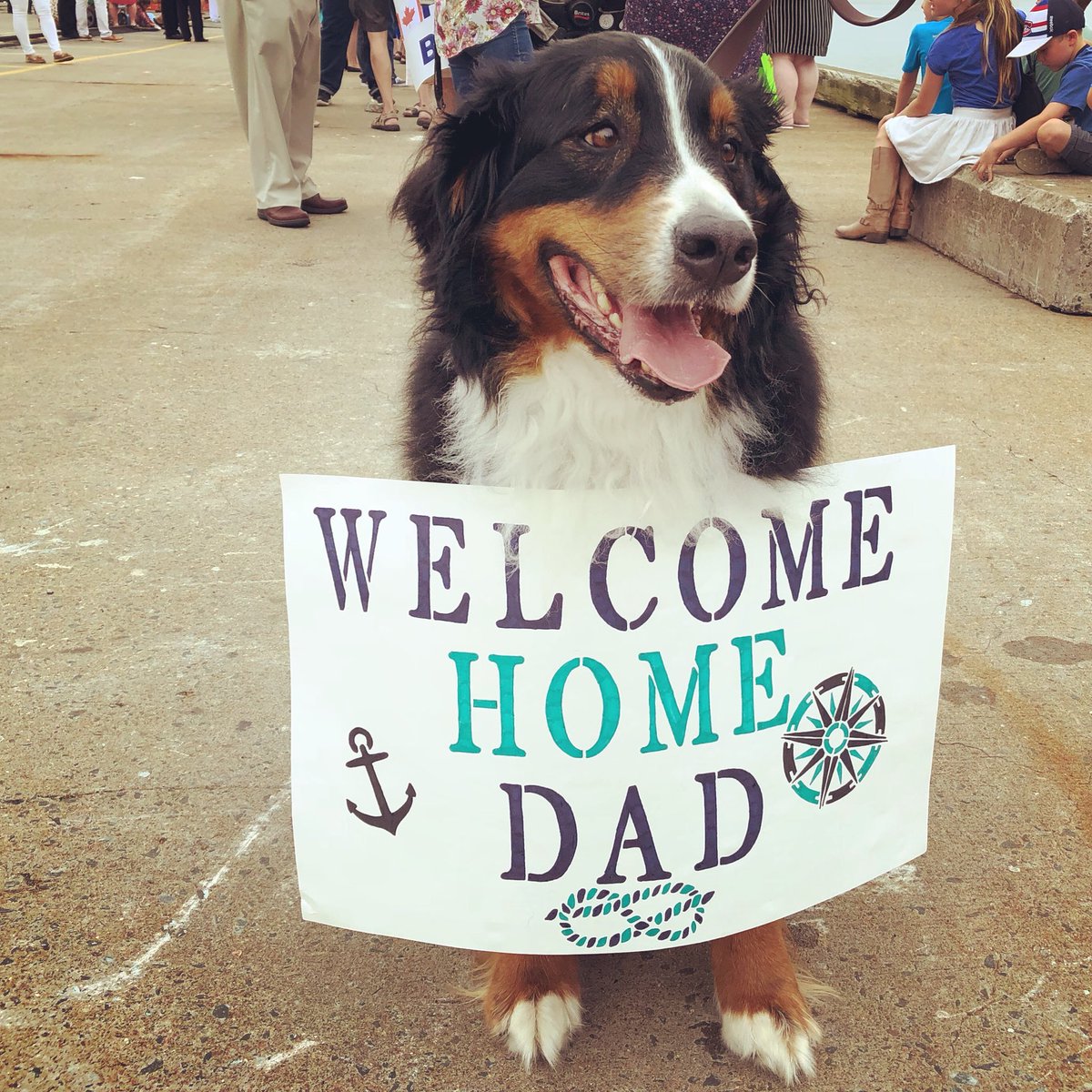 Welcome home #HMCSStJohns! One of your sailors has this cutie waiting for them! 🐶 
#DogsofTwitter #BermeseMountainDog