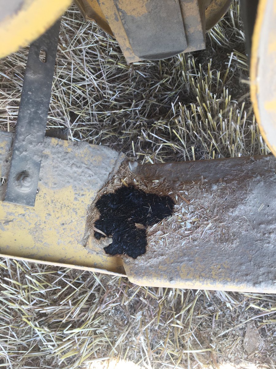 FarmerJamesPA's tweet photo. Within the first 5ac of wheat the bowser was used. I thought I smelt a belt slipping after opening up the panel it was soon apparent. First of two little smoulderings this afternoon. #harvest18 #FarmSafetyWeek2018 #BeSafeOutThere https://t.co/4DxEN3GtyQ