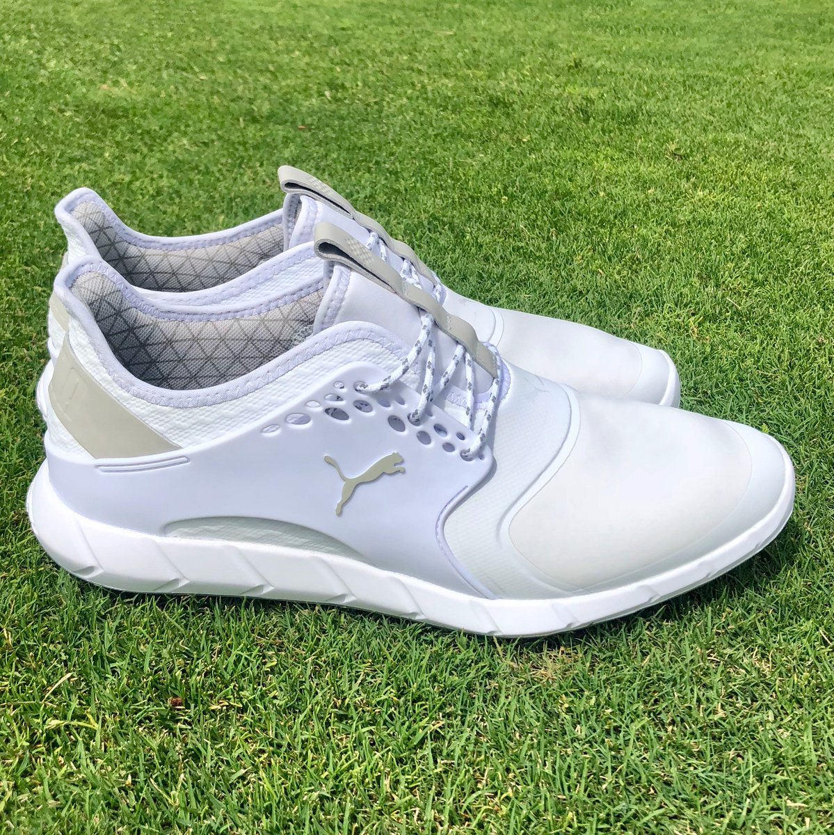 puma ignite pwrsport pro golf shoes