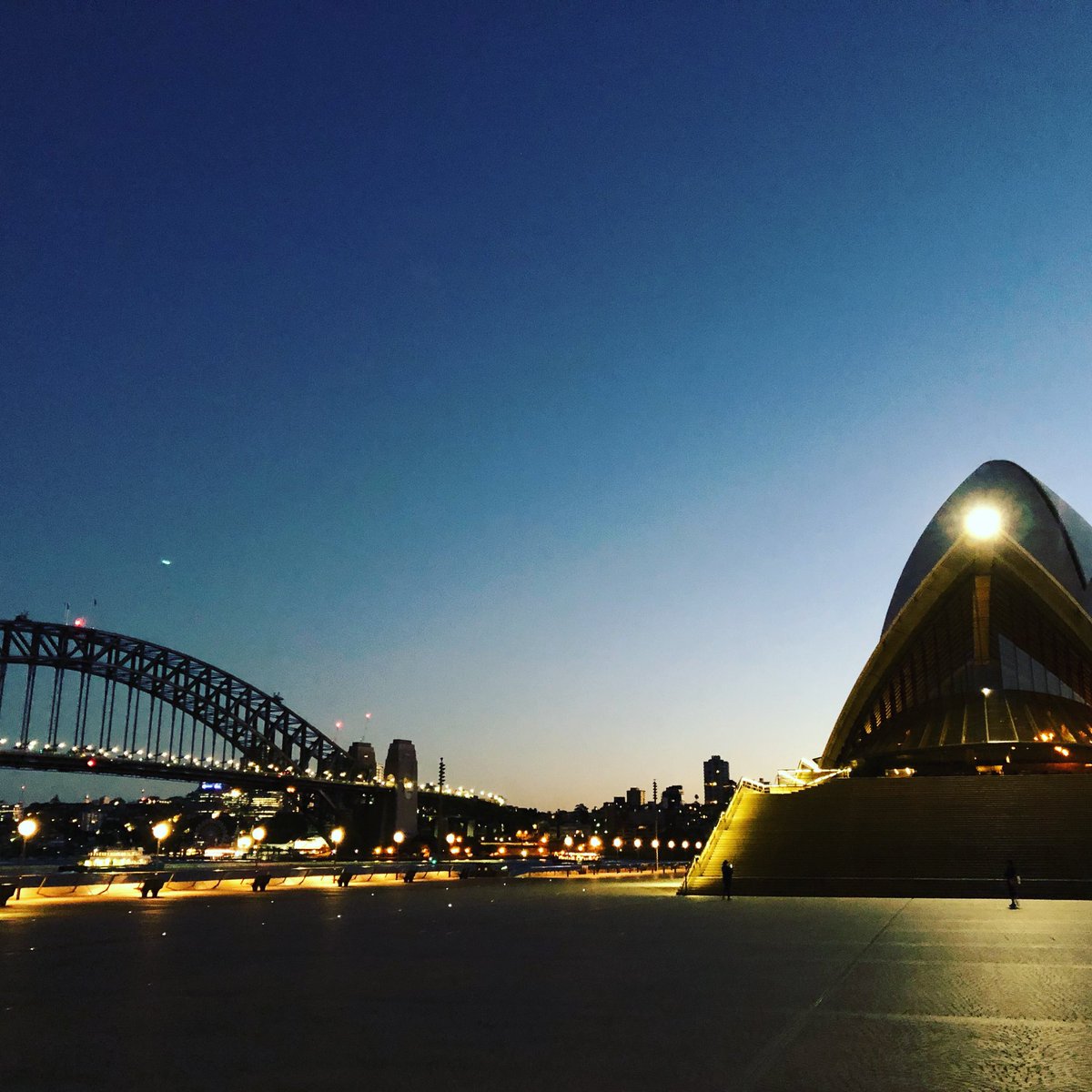 Lauren Jackson tweet media