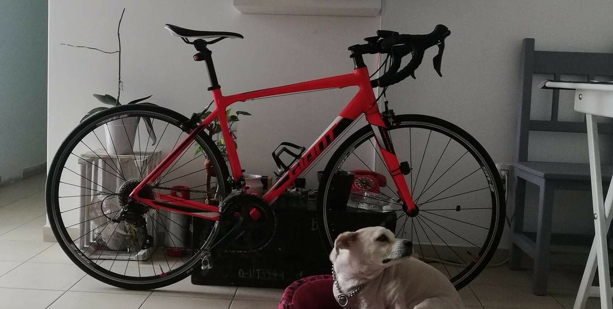 SoyDanielMaca's tweet photo. #BiciRobada 

Amigos acaban de bajar a un amigo de su bici #GIANT en Eduardo Molina cruce con Victoria en la #GAM #CDMX

AYÚDENOS A COMPARTIR PORFAVOR https://t.co/EKPP1nH35t