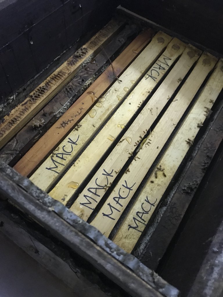 ‘Slower’ hives have been harvested , honey flow will slow down for now