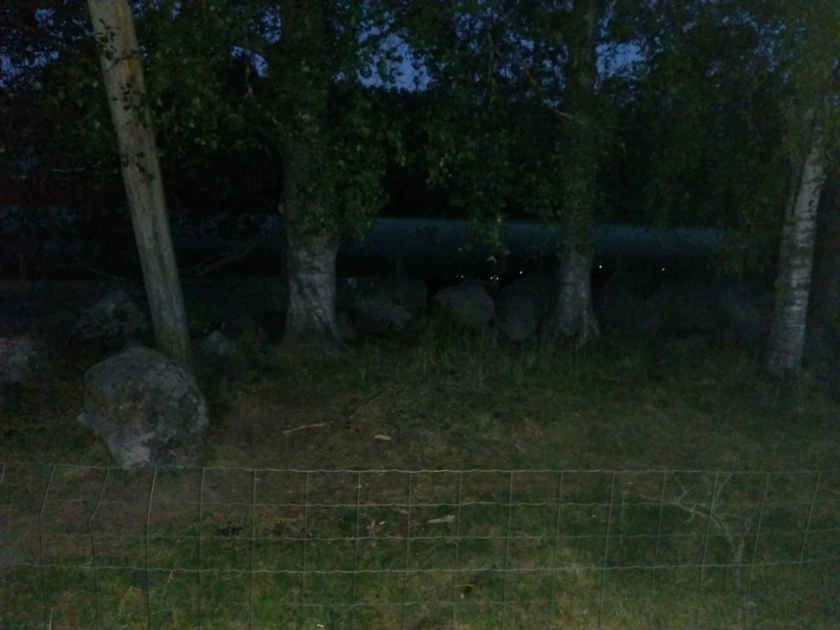tikru2's tweet photo. Kun oot yökävelyllä mökkireissulla ja kuulet oikealta puolelta jotain ääniä. #kuumotus #demonit https://t.co/XVfLJUTWIe