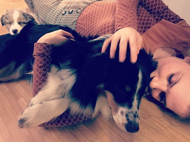 MrsGreenbird's tweet photo. Love.#bestbuddies #love #nippessippi #aussie #miniaussie #wearefamily #sticktogether #relaxing #cuddeling #bluemerle #tricolor #cologne #germany #liebedeinestadt #life #musiciansbynight #thebirdsarebackintown #floppy #fritte #dog #brothers #australienshe… https://t.co/js3cDTGZG5 https://t.co/XnaftK0Z2s