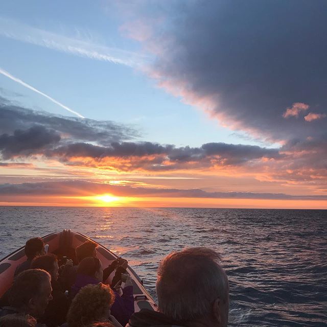 ABAYTOREMEMBER's tweet photo. Watching dolphins 🐬 #westisbest #yearofthesea @visitceredigion @visitwales https://t.co/TGz7P7YhMw https://t.co/3pvZriltsY
