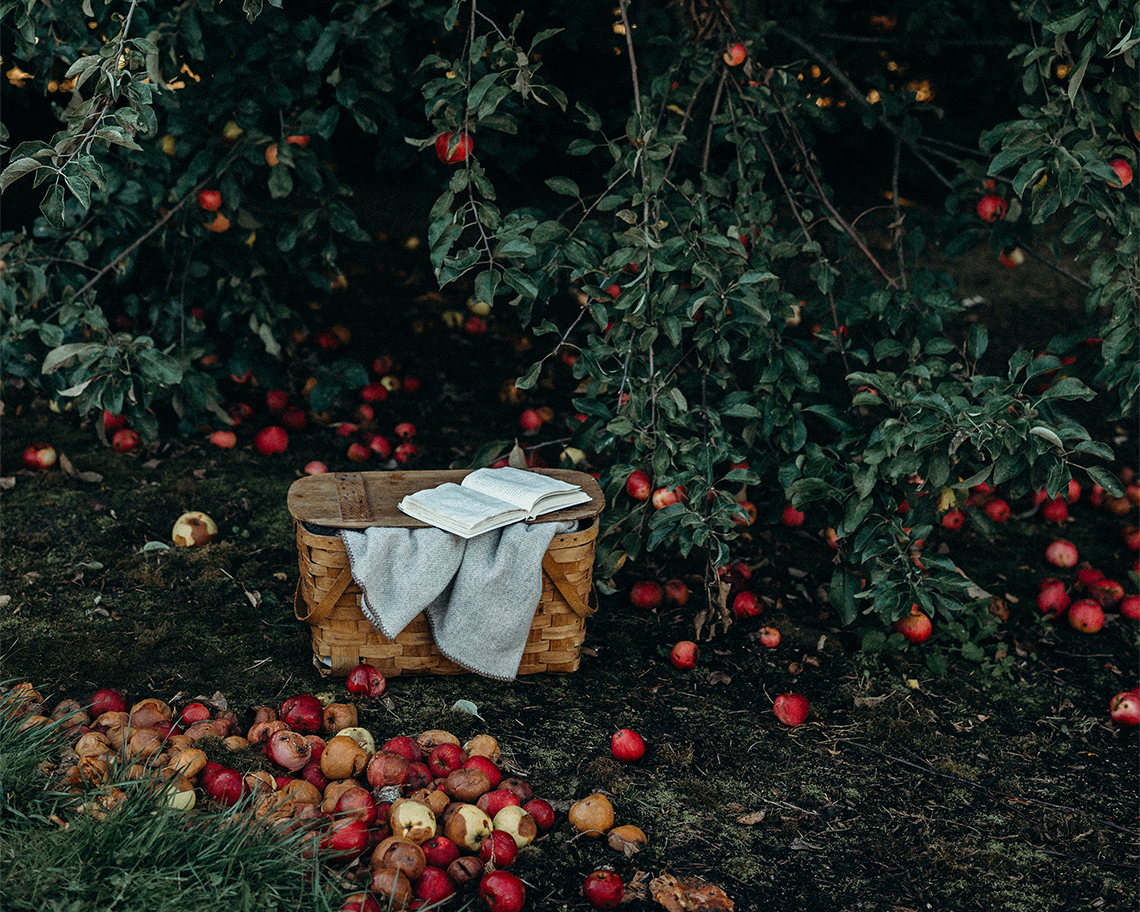 WCGiftBaskets's tweet photo. We're not ALL about the #wine. We may be #wineaddicts, but we're dedicated to other #giftbaskets too! See them here: https://t.co/3TteS7Y2j4 https://t.co/4QKmBrZqwa