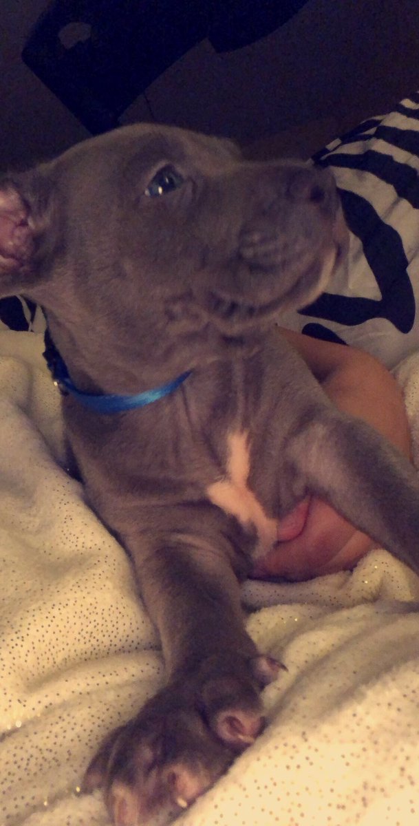 Savouriee's tweet photo. Nico is 100000000% twitter worthy. https://t.co/iG7CwUcuKZ