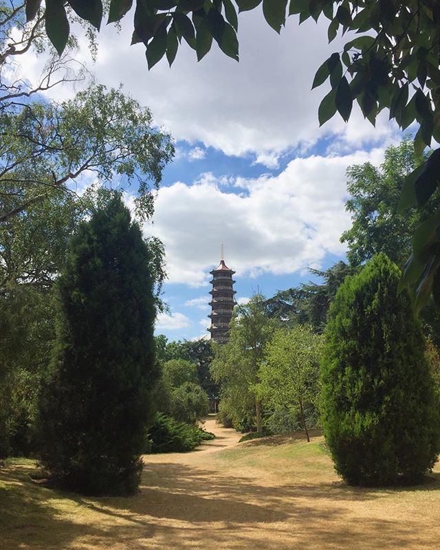 Scorched “grass” pathway to the pagoda 👌🏻 ift.tt/2JNDyow