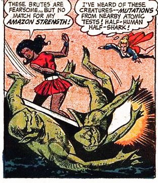 Nubia's Powers are thought to be just like her sister Diana since they both were made the same way. Such as:Superhuman StrengthSuperhuman DurabilityFlightSuperhuman SpeedSuperhuman AgilitySuperhuman StaminaSuperhuman SensesHand-to-Hand Combat