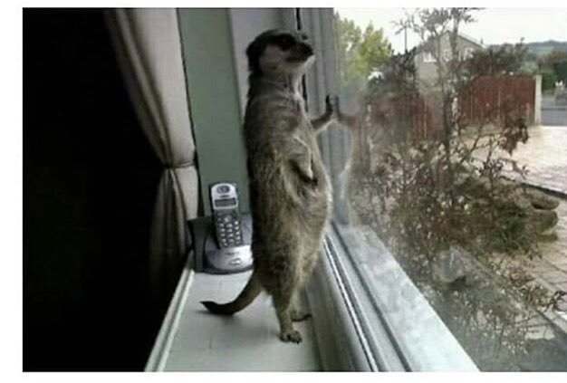 to_belonely's tweet image. Tod@s esperando el regreso de 1D #8YearsOfOneDierction