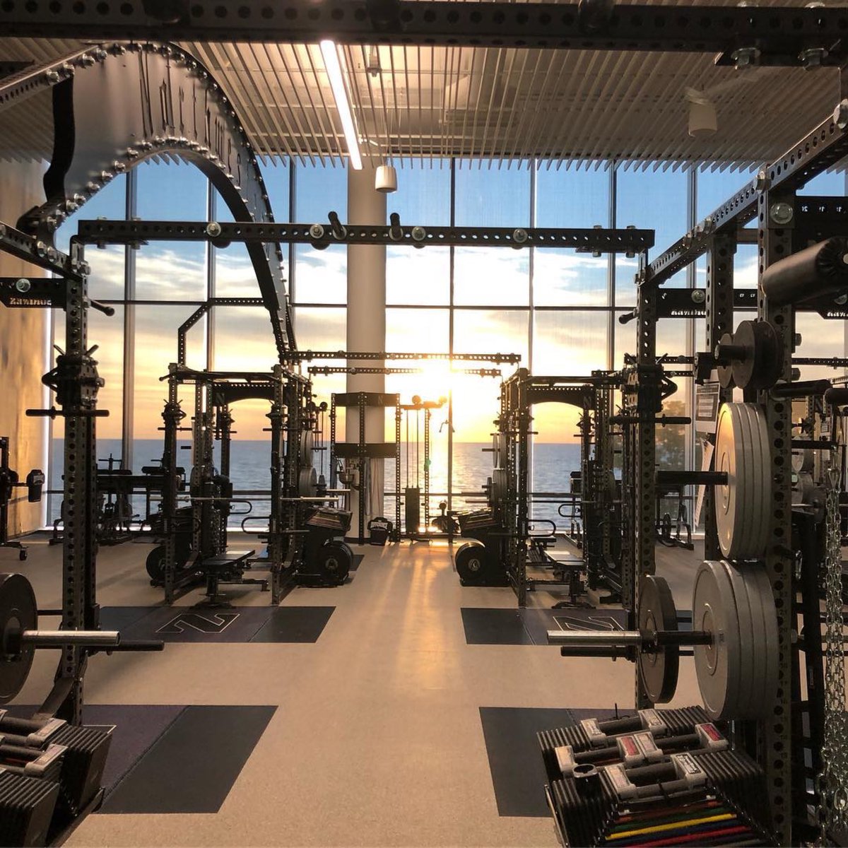 Sorinex's tweet photo. Strength in all it’s glory. #B1GCats https://t.co/Kn5MK5Ny0U