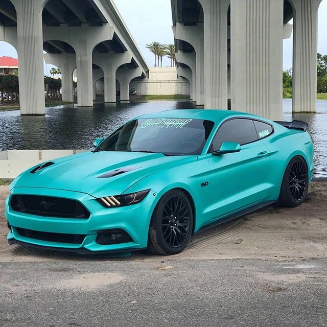 MustangShoutOut's tweet photo. #Repost @miss5.sl0w ・・・ Big changes from red to teal! 🤩 #s550 #mustang #5.0 #americanmuscle #mustanggt #ford #slpperformance #supremestangs #racered #worldwidemustangs #steedaautosports #mustangnation #mustang_freakzz #mustang_lifestyle #stangsofig… https://t.co/kKiljKnlhj https://t.co/SRRtSw6EQ7