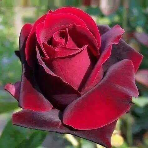 susantopanda's tweet photo. Hi https://t.co/QesmmSUoJA