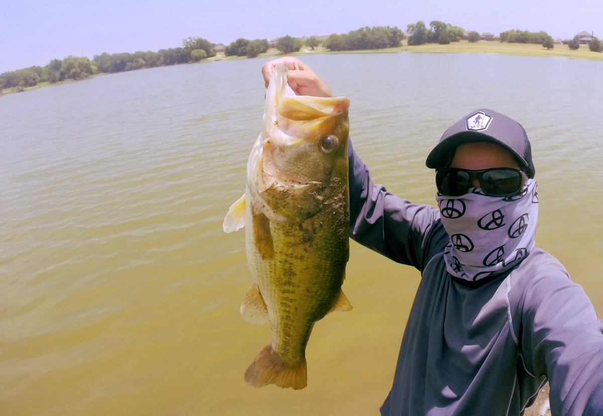 HatCamBass's tweet photo. 108° F was a bit too hot for me over the weekend, but 105° worked out just fine today!  7.2 lbs on Zoom finesse worm on a shaky head. https://t.co/qR1lmQMMDA