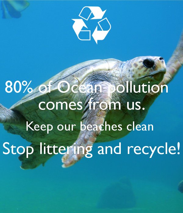 PoolsideLife's tweet image. Five Tips For Keeping Our #Beach Clean

1. Bring Reusable or Recyclable Containers
2. Rent a Beach Cruiser
3. Buy Local
4. "Green" Sunscreen
5. Get Involved in a Beach Clean Up