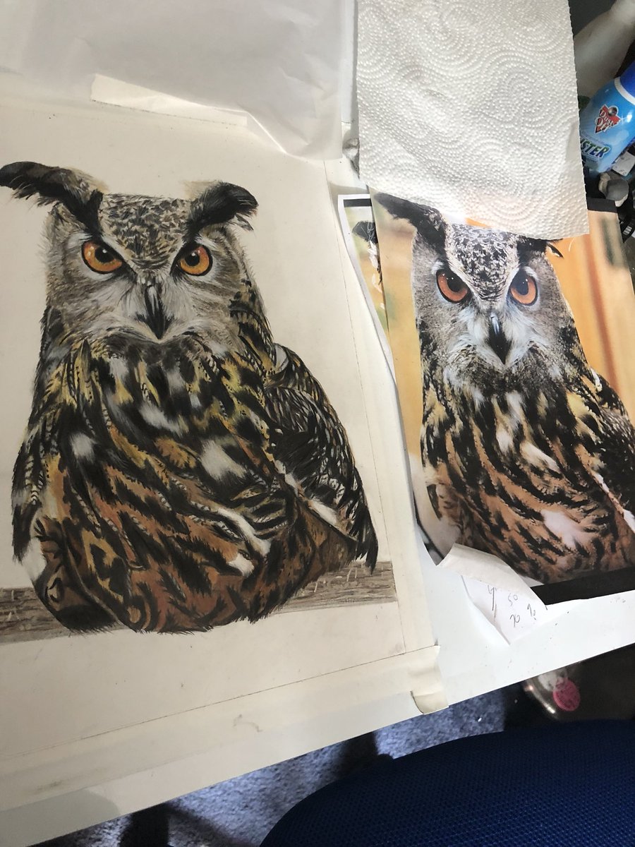 JudithV's tweet image. Colored pencil realism commissions.
facebook.com/77780222235668…