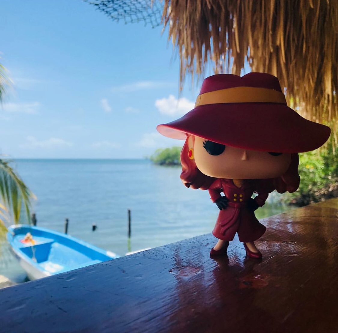 WarpGadgets's tweet photo. Where in the world is Carmen Sandiego? 
| @thinkgeekbartoncreek | 
Beautiful shot!! Maybe she’s on vacation? #warpgadgets #carmensandiego #funkopops #funko #funkopop #funkophotography #funkophoto #funkopic #funkopicture #funkolove #funkofamily https://t.co/dzExOmWDHD
