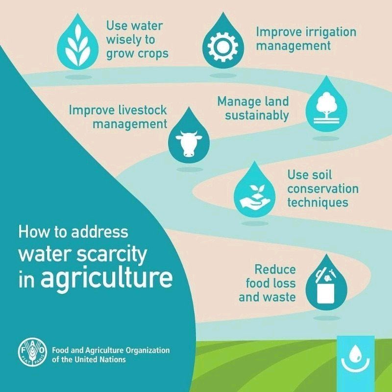 WorldBankWater's tweet photo. Here are 6 ways to address #waterscarcity in agriculture, illustrated in this infographic by @FAO: https://t.co/qRasdh1VLT
