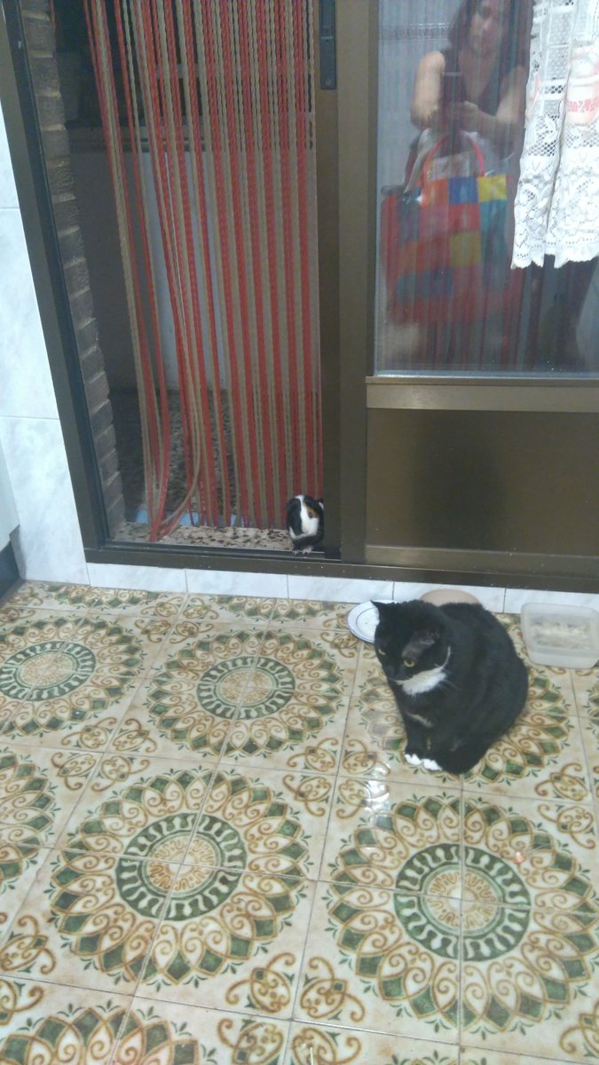 QuniverK's tweet photo. Gracias ratita mia , descansa. 🥰🥰 https://t.co/Oo2aBPr43Z