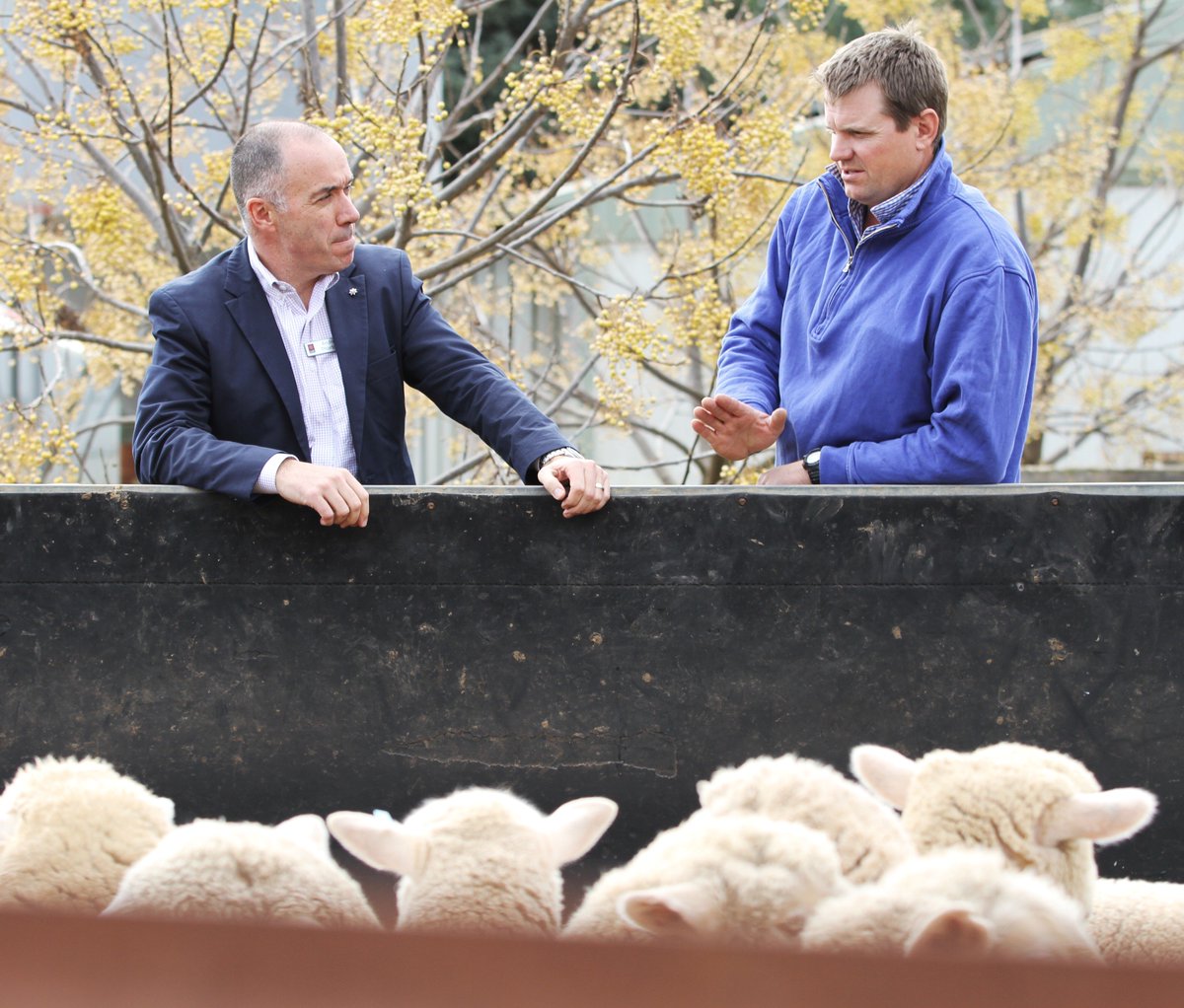 Andrew Marshall tweet media