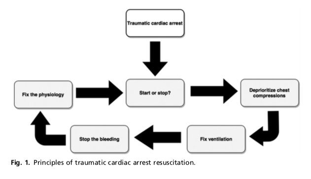 shop Musculoskeletal Trauma in the Elderly 2016