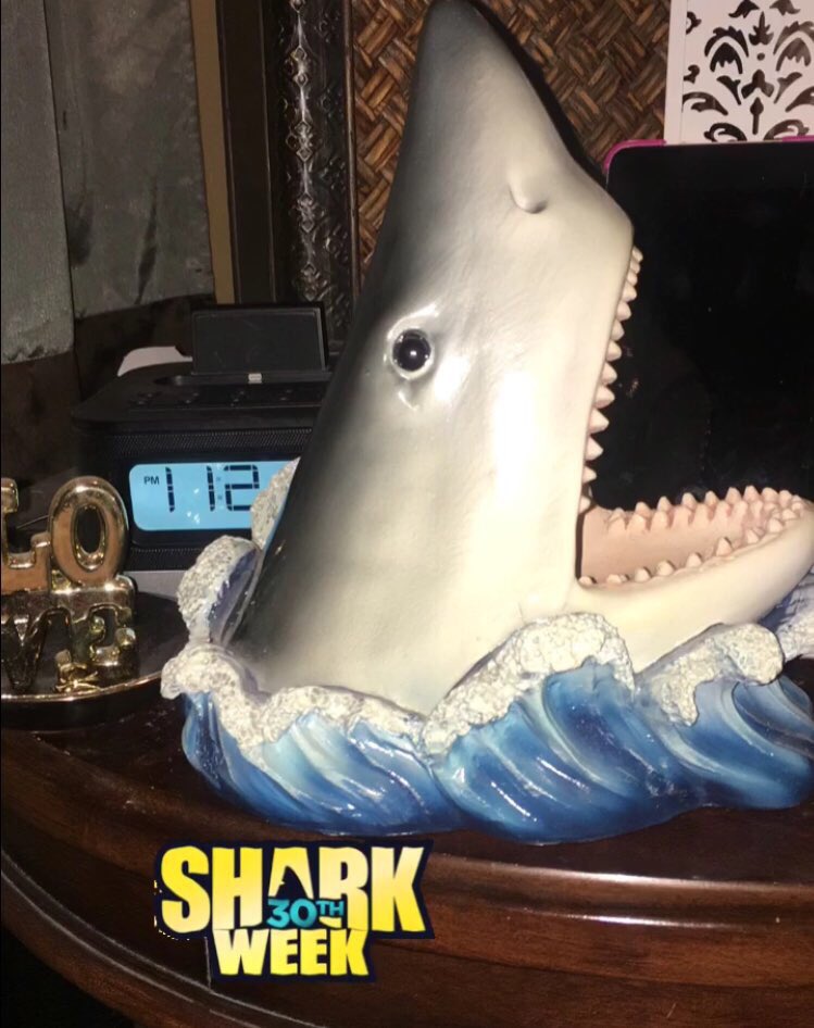WaneedaWrestlng's tweet photo. Shark Week Day 2.I have to say that the Great White Abyss was absolutely amazing.Seeing those massive Great Whites only made me want to go to Guadalupe Island even more!(Yes,thatβs a great white on my nightstand π)#MonsterTag #SharksOfCuba #GWAbyss #GreatWhiteAbyss #SharkWeek https://t.co/Ui9p0WstEg
