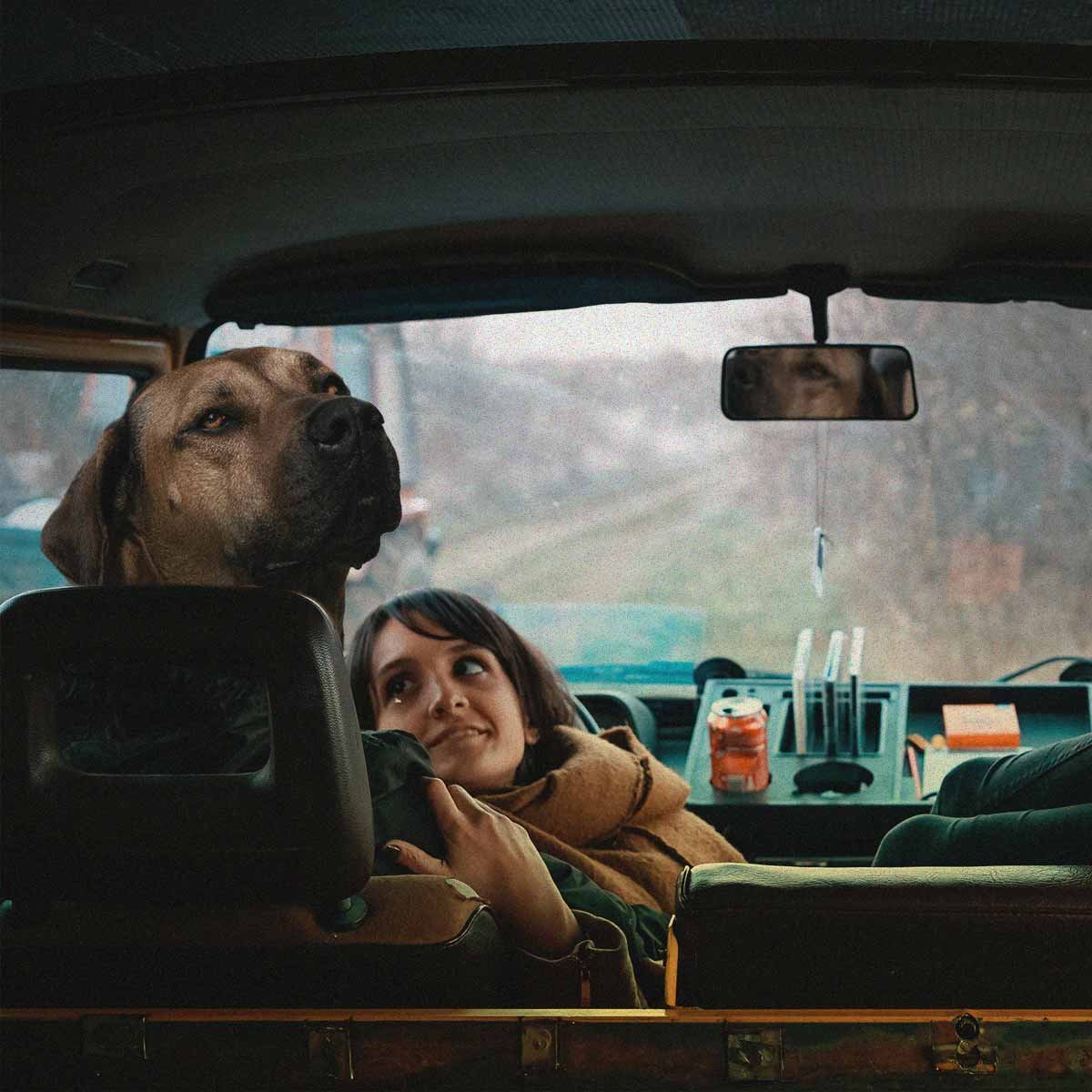 Spend more time on things that matter to you. Everman is a brand of classic menswear essentials that never change. Made for men who play hard and work smart. Or just hate shopping. Exclusively available at evermanapparel.co.za with free next-day deliveries and free returns.