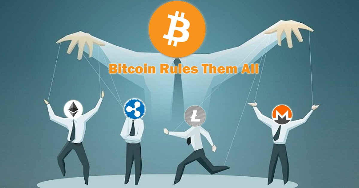 BitcoinAscent's tweet photo. Altcoins and ICO's crashing?
I don't care.
I hold Bitcoin!
The #1 cryptocurrency since cryptocurrencies started!!!
#Bitcoin #NoBcash https://t.co/FDNFQp8LlJ