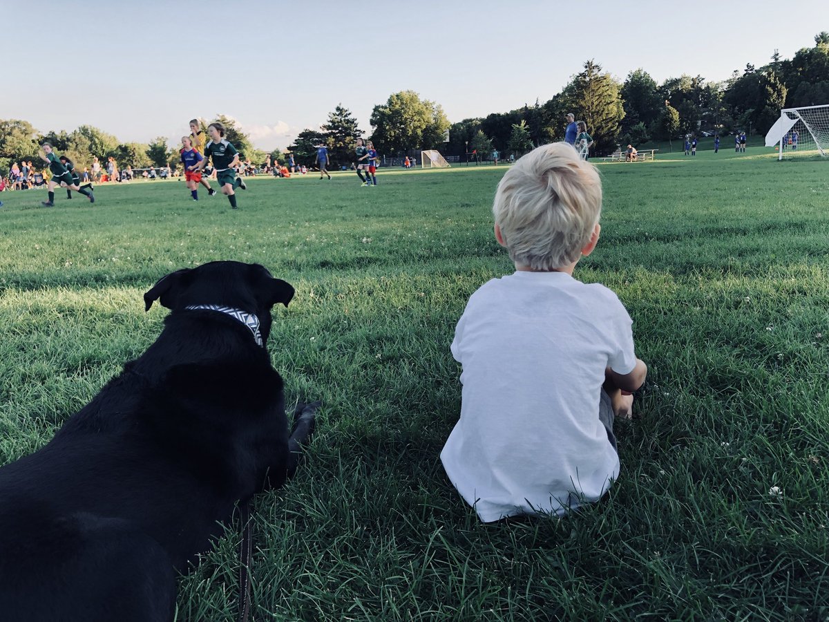 NorahJP's tweet photo. Perfect summer night in Minneapolis. https://t.co/nTZDSNxVEz