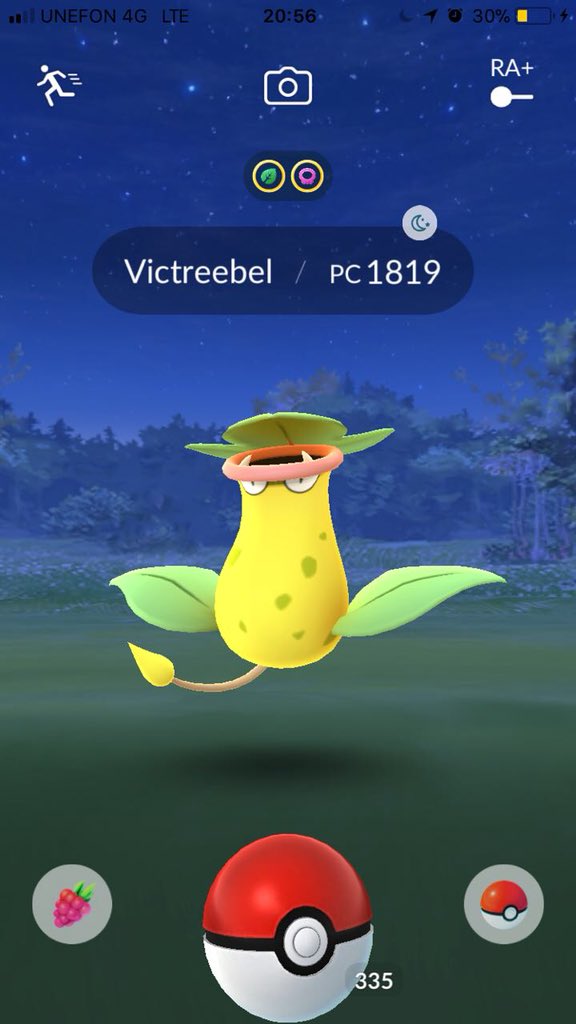 CapMardo's tweet photo. Victreebel CP1819 #CheckIV 20.583536,-87.119201 #GraciasCarnal
@MasterYLordJIO https://t.co/6ou4F5rQeM