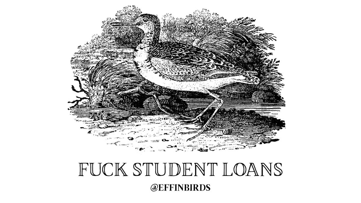 EffinBirds's tweet image. 