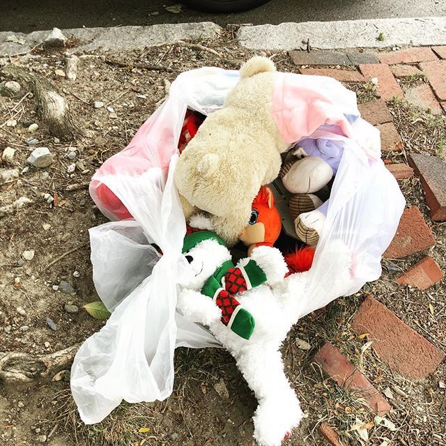 GarbageofMurica's tweet photo. To the stuffed animals: NEVER, EVER THREATEN TO STOP CUDDLING WITH ME AGAIN OR YOU WILL SUFFER CONSEQUENCES THE LIKES OF WHICH FEW IN HISTORY HAVE EVER SUFFERED BEFORE. I AM NO LONGER AN INFANT THAT WILL STAND FOR YOUR DEMENTED TRAITS OF CUTENESS &amp; FUZZI… https://t.co/K00MttGANZ https://t.co/9gRF5KPWOp