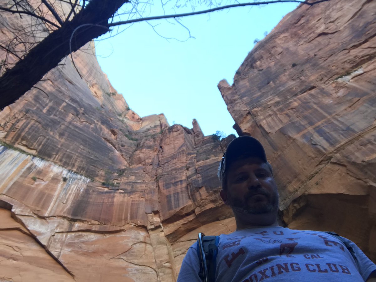 DirkTheDaring76's tweet photo. Hello from Zion National Park. Off the beaten path. Don't tell the rangers.
#ZionNationalPark
#TrailClosed https://t.co/81ubIKVnZC