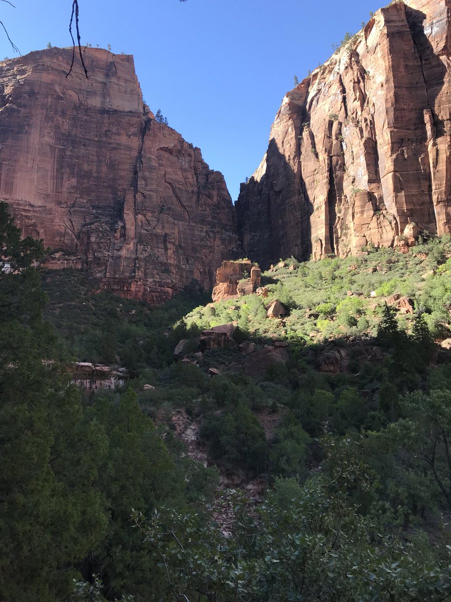 DirkTheDaring76's tweet photo. Hello from Zion National Park. Off the beaten path. Don't tell the rangers.
#ZionNationalPark
#TrailClosed https://t.co/81ubIKVnZC