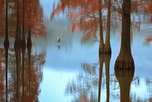 visitnanjing's tweet photo. #2018SummerVacation
Nanjing Zhimaling became a national protected area in recent years, check this amazing view out! https://t.co/F74mktA93O