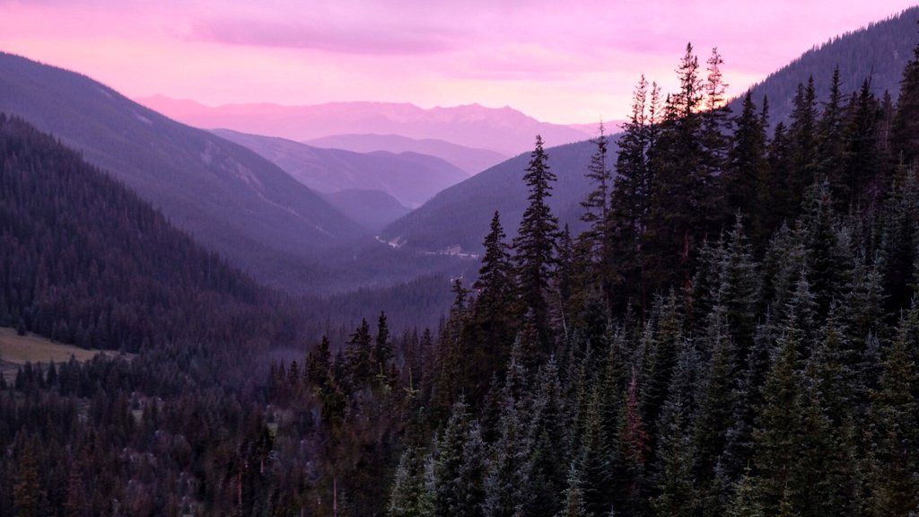 Ryan Seilhamer tweet media