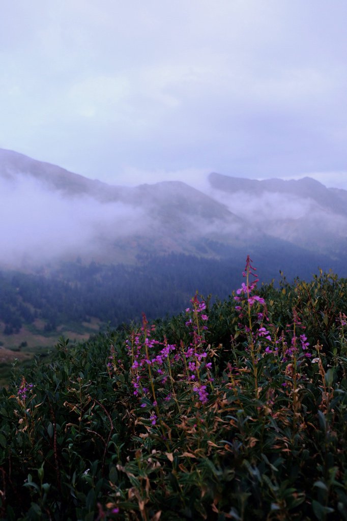 So nice to be back in Colorado. I took some pictures over Loveland pass at sunset. #instcon #fujixt20