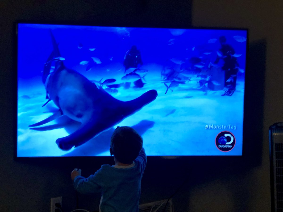 JamesRMeier's tweet photo. This guy, almost 3, is loving watching his favorite QB @AaronRodgers12 and the βMonster Tagβ sharks. Heβs been reading up on sharks a lot over the past month and was so excited to see them on this show. Thanks, @Discovery
#SharkWeek #MonsterTag https://t.co/FCyssnTkOq