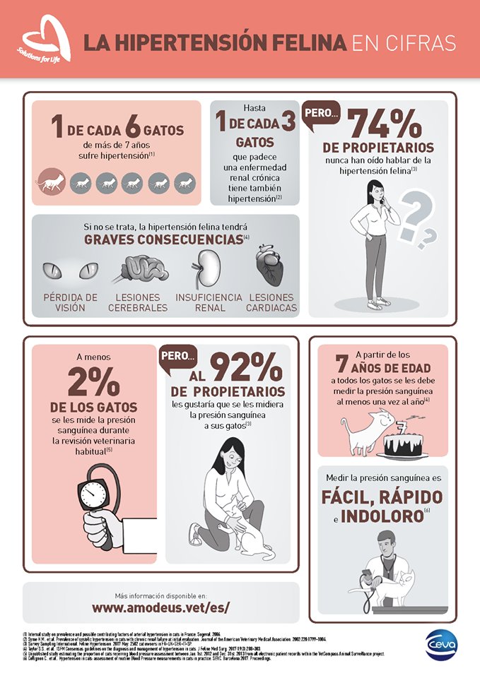 especiesvet's tweet photo. El diagnóstico temprano es clave para controlar la #hipertensión felina. Si tu #gato ha cumplido ya los 7 años es importante tomarle la tensión. No corras riesgos, consúltanos.  🐱😉https://t.co/DogBTy1SrY https://t.co/abkpPkhyCN