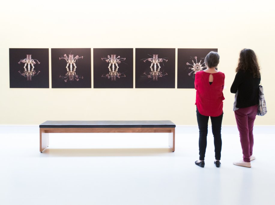 CODAapeldoorn's tweet photo. Laatste week: breng een bezoek aan Future Form in CODA Museum

In 'Future Form' zie je hoe moderne techniek en kunst op prachtige wijze samengaan in het werk van Beate Eismann en Svenja John. Wil je ook aan de slag met 3D geprinte sieraden? Ga dan naar: https://t.co/TYZFGxFAus https://t.co/sv2p8at9VS