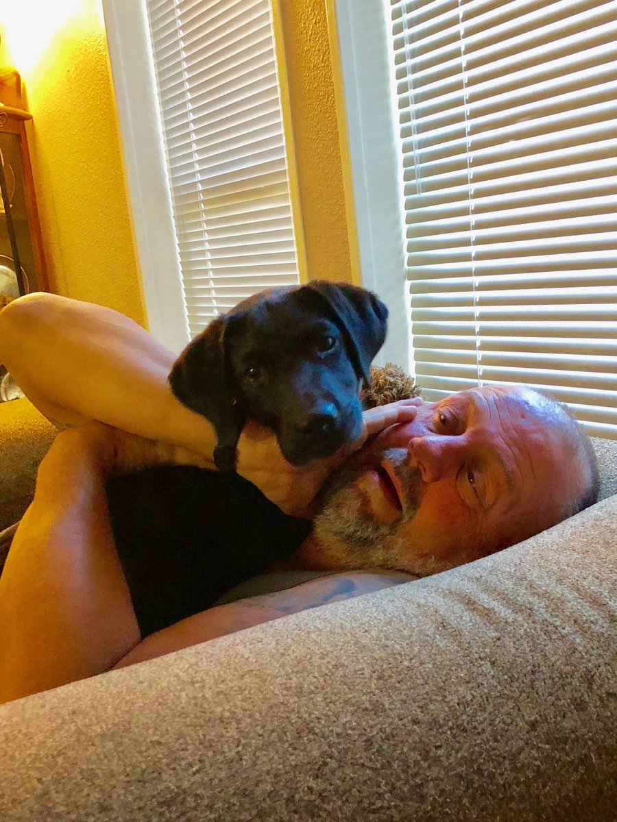 Pastor_Woody's tweet photo. She had me! You had me from the first look. #duckdogintraining #neverenoughAM #goodnight https://t.co/AiPwy7c7ts