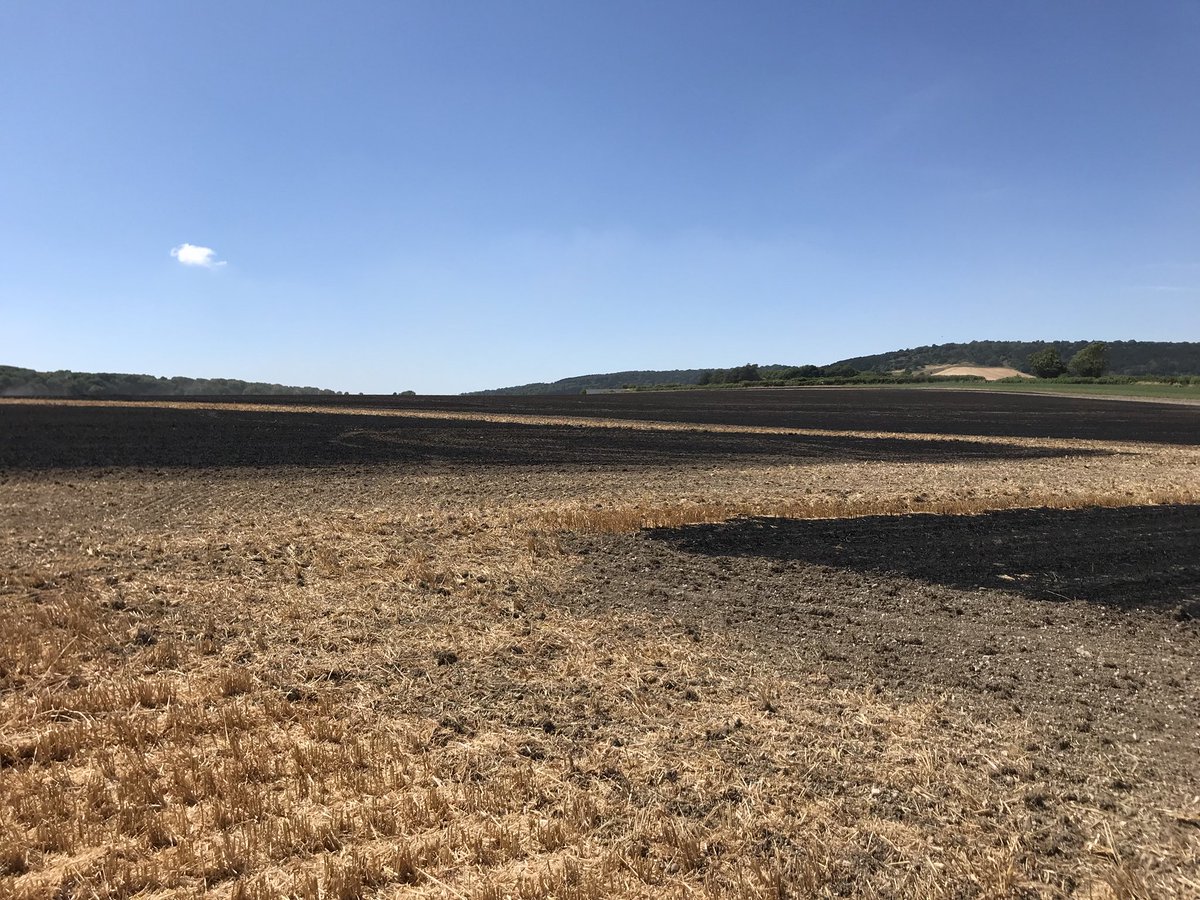 BBCSussex's tweet photo. .@WestSussexFire urges people to take extra care disposing of cigarettes and BBQs - after a number of field fires in #Lavant, #Slinfold and #Colworth yesterday afternoon  #Heatwave #Wildfires https://t.co/MBByTpVGo4