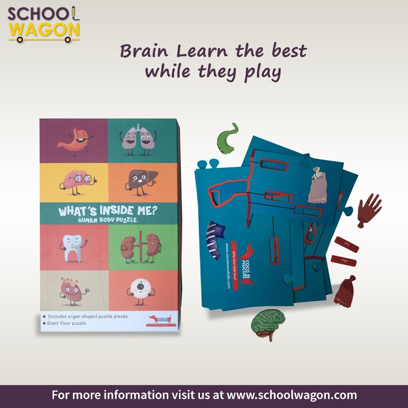schoolwagon1's tweet photo. Brain Learn the Best While They Play | Buy Educational toys from schoolwagon
#Educationaltoys #schoolwagon #toys #Educationalgames https://t.co/cgCR0I8yCa