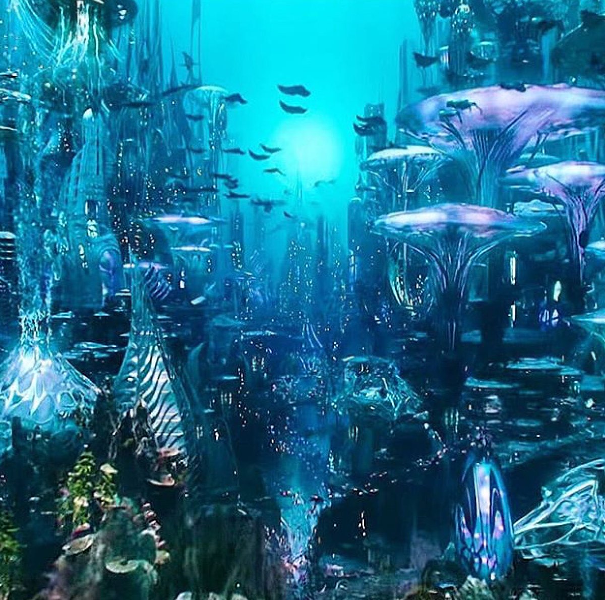 “The Ocean stirs the Heart, inspires the Imagination, and brings Eternal Joy to the Soul.” -Wyland