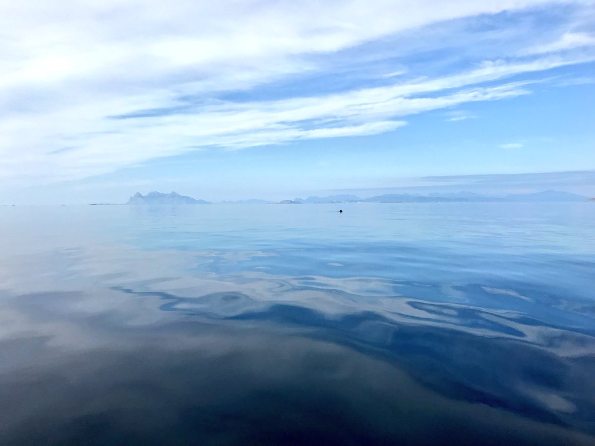 AllPlan4's tweet image. Exciting new topic/team in the #INSPIREhackathon : “Application to plan a trip to the seaside based on data from Copernicus.” ➡️ plan4all.eu/2018/07/team-2… The team welcome you to participate. Join the #OpenData movement! Making it work together - in practice! #APIs4DGov #APIs