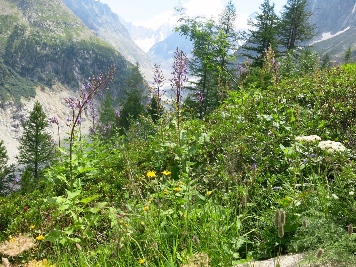 PlanetSKI Snow News tweet media