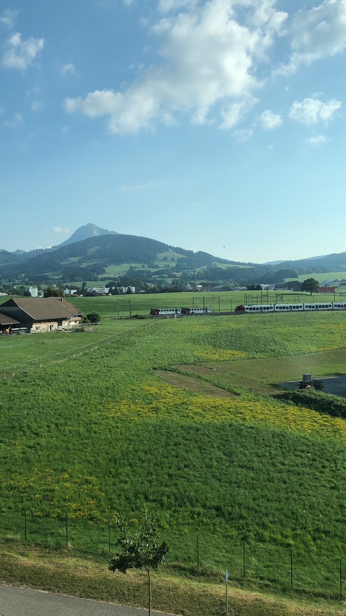 Dan Williams tweet media